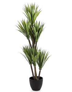 Large Faux Yucca Tree in Black Pot