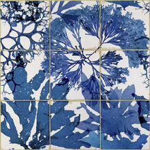 Load image into Gallery viewer, Mind The Gap Wallpaper Algae in Blue WP20179