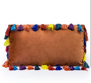 Terracotta Rectangle Tassel Cushion