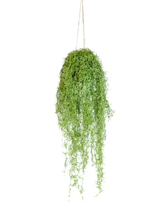 Artificial Hanging Airplant