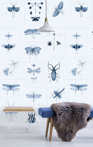 Mind The Gap Wallpaper Entomology Blue WP20235