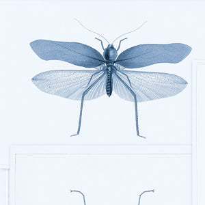 Mind The Gap Wallpaper Entomology Blue WP20235