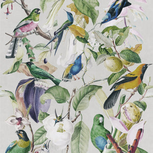 MTG Wallpaper Tropical Birds WP20172