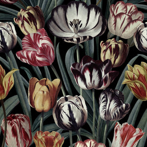 MTG Wallpaper Tulipa Dark WP20177