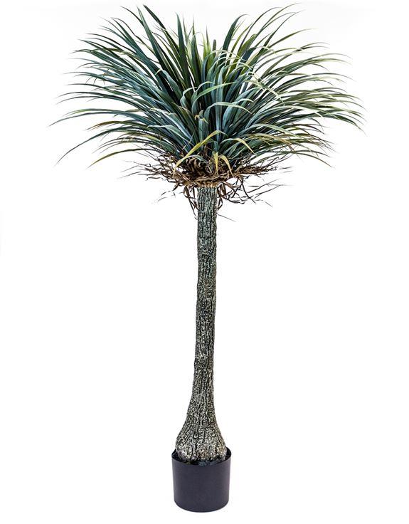 Extra Large Potted Faux Yucca Tree – Thrills of the Emporium