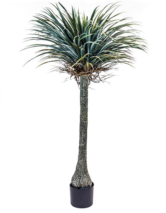 Extra Large Potted Faux Yucca Tree